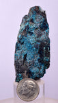 6.1cms QUARTZ CHRYSOCOLLA BOTRYOIDAL TENTADORA MINE PERU MINERAL SPECIMEN CB197