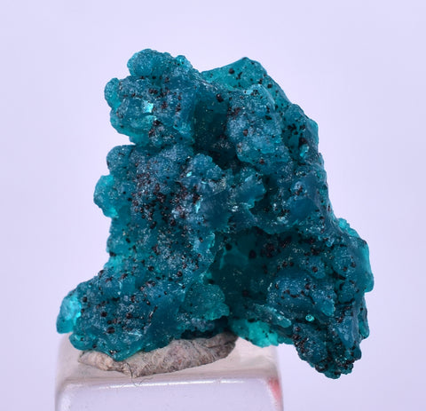 1.9cm GEM BLUE MALACHITE PSEUDOMORPH CHRYSOCOLLA PERU ROSETTE  CRYSTAL UB296