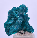 1.9cm GEM BLUE MALACHITE PSEUDOMORPH CHRYSOCOLLA PERU ROSETTE  CRYSTAL UB296