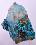 5.8cms QUARTZ CHRYSOCOLLA BOTRYOIDAL TENTADORA MINE PERU MINERAL SPECIMEN CB198