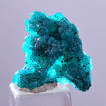 1.9cm GEM BLUE MALACHITE PSEUDOMORPH CHRYSOCOLLA PERU ROSETTE  CRYSTAL UB296