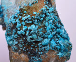 5.8cms QUARTZ CHRYSOCOLLA BOTRYOIDAL TENTADORA MINE PERU MINERAL SPECIMEN CB198