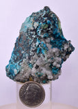 5.8cms QUARTZ CHRYSOCOLLA BOTRYOIDAL TENTADORA MINE PERU MINERAL SPECIMEN CB198