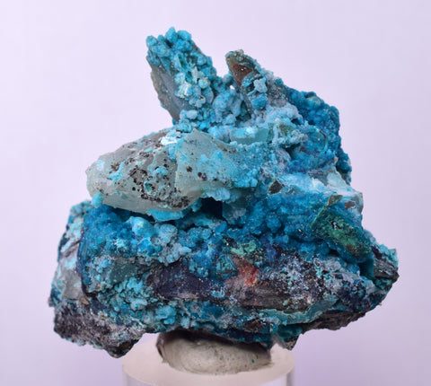 5.2cms QUARTZ CHRYSOCOLLA BOTRYOIDAL TENTADORA MINE PERU MINERAL SPECIMEN CB199