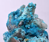 5.2cms QUARTZ CHRYSOCOLLA BOTRYOIDAL TENTADORA MINE PERU MINERAL SPECIMEN CB199