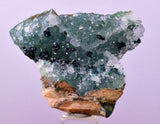 4.4cms GEM CLINOATACAMITE DRUZY CHRYSOCOLLA CRYSTAL LILY MINE PERU DB323