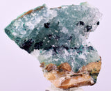 4.4cms GEM CLINOATACAMITE DRUZY CHRYSOCOLLA CRYSTAL LILY MINE PERU DB323