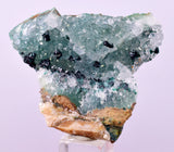 4.4cms GEM CLINOATACAMITE DRUZY CHRYSOCOLLA CRYSTAL LILY MINE PERU DB323