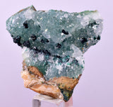 4.4cms GEM CLINOATACAMITE DRUZY CHRYSOCOLLA CRYSTAL LILY MINE PERU DB323