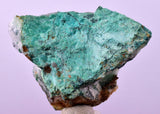 4.4cms GEM CLINOATACAMITE DRUZY CHRYSOCOLLA CRYSTAL LILY MINE PERU DB323