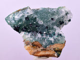 4.4cms GEM CLINOATACAMITE DRUZY CHRYSOCOLLA CRYSTAL LILY MINE PERU DB323