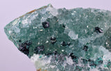 4.4cms GEM CLINOATACAMITE DRUZY CHRYSOCOLLA CRYSTAL LILY MINE PERU DB323