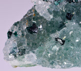 4.4cms GEM CLINOATACAMITE DRUZY CHRYSOCOLLA CRYSTAL LILY MINE PERU DB323