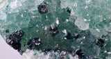 4.4cms GEM CLINOATACAMITE DRUZY CHRYSOCOLLA CRYSTAL LILY MINE PERU DB323