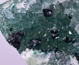 4.4cms GEM CLINOATACAMITE DRUZY CHRYSOCOLLA CRYSTAL LILY MINE PERU DB323