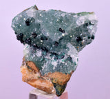 4.4cms GEM CLINOATACAMITE DRUZY CHRYSOCOLLA CRYSTAL LILY MINE PERU DB323
