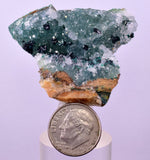 4.4cms GEM CLINOATACAMITE DRUZY CHRYSOCOLLA CRYSTAL LILY MINE PERU DB323
