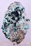 7.3cms GEM ATACAMITE SELENITE CHRYSOCOLLA CRYSTAL LILY MINE PERU AB324