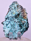 7.3cms GEM ATACAMITE SELENITE CHRYSOCOLLA CRYSTAL LILY MINE PERU AB324