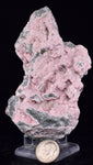 9.6cms RHODOCHROSITE ROSETTE QUARTZ Peru Crystals Collector Mineral Specimen RB677