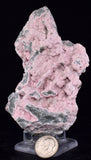 9.6cms RHODOCHROSITE ROSETTE QUARTZ Peru Crystals Collector Mineral Specimen RB677