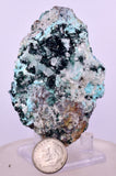 7.3cms GEM ATACAMITE SELENITE CHRYSOCOLLA CRYSTAL LILY MINE PERU AB324