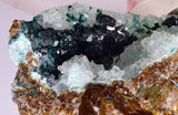6.3cms GEM CLINOATACAMITE DRUZY CHRYSOCOLLA CRYSTAL LILY MINE PERU DB325