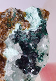 6.3cms GEM CLINOATACAMITE DRUZY CHRYSOCOLLA CRYSTAL LILY MINE PERU DB325