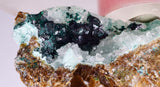 6.3cms GEM CLINOATACAMITE DRUZY CHRYSOCOLLA CRYSTAL LILY MINE PERU DB325