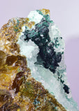 6.3cms GEM CLINOATACAMITE DRUZY CHRYSOCOLLA CRYSTAL LILY MINE PERU DB325