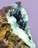 6.3cms GEM CLINOATACAMITE DRUZY CHRYSOCOLLA CRYSTAL LILY MINE PERU DB325