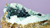 6.3cms GEM CLINOATACAMITE DRUZY CHRYSOCOLLA CRYSTAL LILY MINE PERU DB325