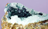 6.3cms GEM CLINOATACAMITE DRUZY CHRYSOCOLLA CRYSTAL LILY MINE PERU DB325