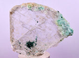 4.8cms GEM ATACAMITE INSIDE SELENITE CRYSTAL CHRYSOCOLLA LILY MINE TB314