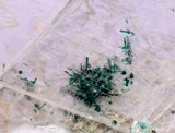 4.8cms GEM ATACAMITE INSIDE SELENITE CRYSTAL CHRYSOCOLLA LILY MINE TB314