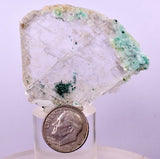 4.8cms GEM ATACAMITE INSIDE SELENITE CRYSTAL CHRYSOCOLLA LILY MINE TB314