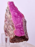 8.4cms COBALTOAN CALCITE SHINY CRYSTAL MOROCCO MINERAL SPECIMEN GB78