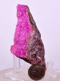 8.4cms COBALTOAN CALCITE SHINY CRYSTAL MOROCCO MINERAL SPECIMEN GB78