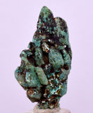 3cms GEM SILICA CHRYSOCOLLA CHALCEDONY CRYSTAL  NEW FIND PERU SB241