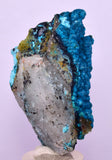 5.6cms CHRYSOCOLLA BOTRYOIDAL ON QUARTZ SHATTUCKITE TENTADORA MINE PERU CB245