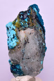 5.6cms CHRYSOCOLLA BOTRYOIDAL ON QUARTZ SHATTUCKITE TENTADORA MINE PERU CB245