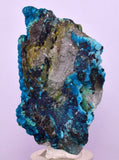 5.6cms CHRYSOCOLLA BOTRYOIDAL ON QUARTZ SHATTUCKITE TENTADORA MINE PERU CB245