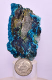 5.6cms CHRYSOCOLLA BOTRYOIDAL ON QUARTZ SHATTUCKITE TENTADORA MINE PERU CB245