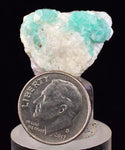 2.2cms GEM EMERALD CRYSTAL PYRITE CALCITE QUARTZ COLOMBIA MINERAL SPECIMEN EB95