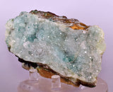 9.5cms DRUZY CHRYSOCOLLA QUARTZ CRYSTAL LILY MINE PERU 2000 YEAR DB326