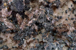 10cms AXINITE EPIDOTE SPHALERITE QUARTZ CRYSTALS PERU COLLECTOR AB275