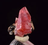 1.1cm RHODOCHROSITE CRYSTALS PERU OLD STOCK UCHUCCHACUA MINERAL SPECIMEN RB746