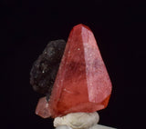 0.9cm RHODOCHROSITE CRYSTALS PERU OLD STOCK UCHUCCHACUA MINERAL SPECIMEN RB748