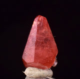 0.9cm RHODOCHROSITE CRYSTALS PERU OLD STOCK UCHUCCHACUA MINERAL SPECIMEN RB748