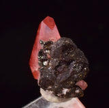 0.9cm RHODOCHROSITE CRYSTALS PERU OLD STOCK UCHUCCHACUA MINERAL SPECIMEN RB748